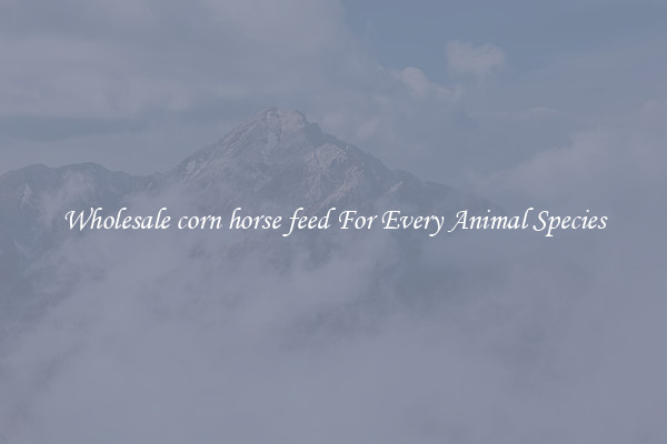 Wholesale corn horse feed For Every Animal Species