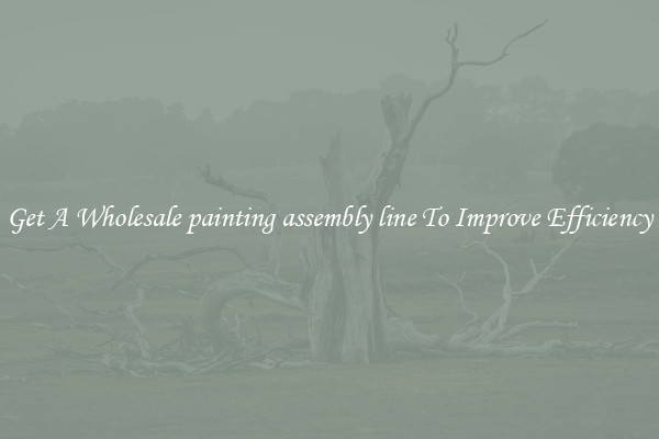 Get A Wholesale painting assembly line To Improve Efficiency