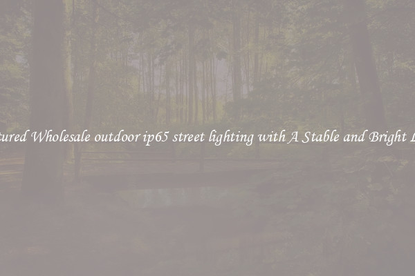 Featured Wholesale outdoor ip65 street lighting with A Stable and Bright Light