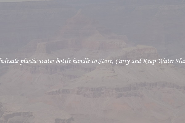 Wholesale plastic water bottle handle to Store, Carry and Keep Water Handy