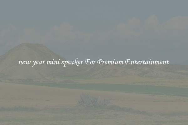 new year mini speaker For Premium Entertainment 