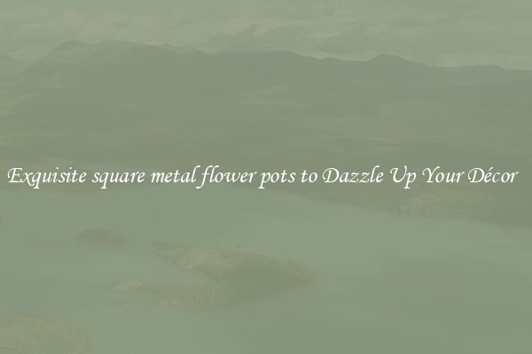 Exquisite square metal flower pots to Dazzle Up Your Décor  