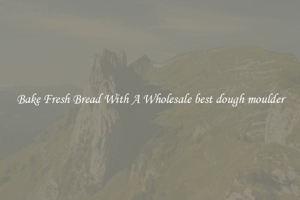Bake Fresh Bread With A Wholesale best dough moulder