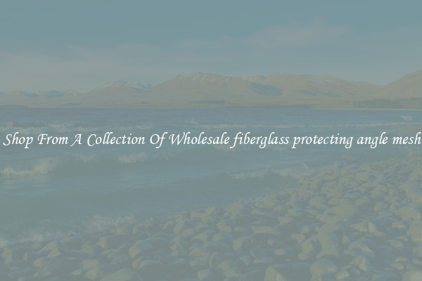 Shop From A Collection Of Wholesale fiberglass protecting angle mesh