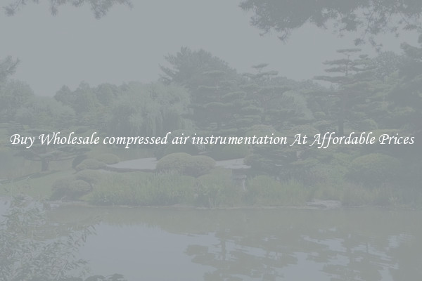 Buy Wholesale compressed air instrumentation At Affordable Prices