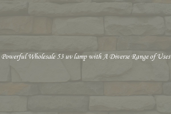Powerful Wholesale 53 uv lamp with A Diverse Range of Uses