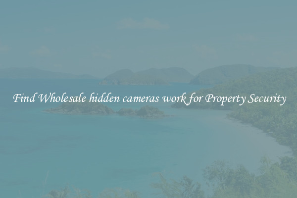 Find Wholesale hidden cameras work for Property Security