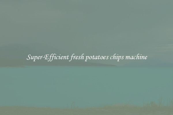 Super-Efficient fresh potatoes chips machine