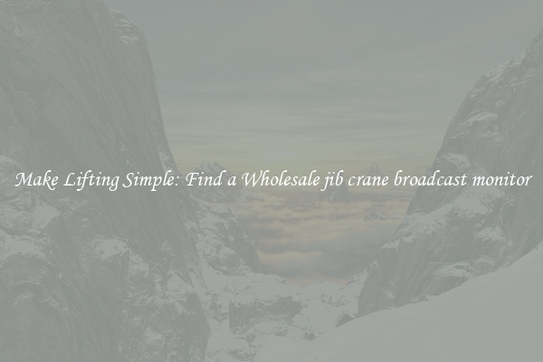 Make Lifting Simple: Find a Wholesale jib crane broadcast monitor