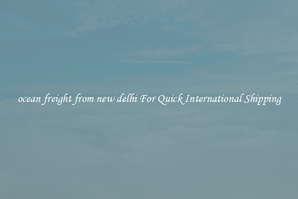 ocean freight from new delhi For Quick International Shipping