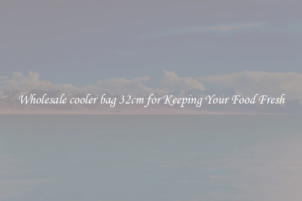 Wholesale cooler bag 32cm for Keeping Your Food Fresh