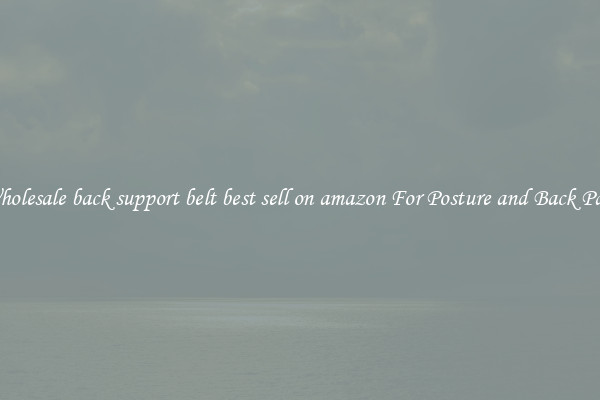 Wholesale back support belt best sell on amazon For Posture and Back Pain