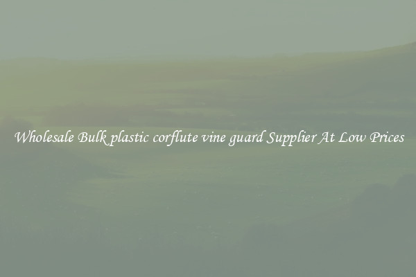 Wholesale Bulk plastic corflute vine guard Supplier At Low Prices