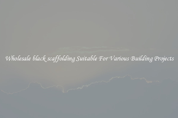 Wholesale black scaffolding Suitable For Various Building Projects