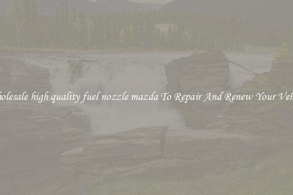Wholesale high quality fuel nozzle mazda To Repair And Renew Your Vehicle