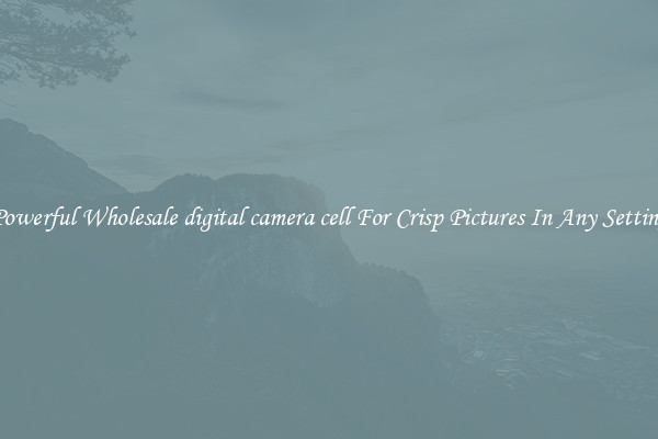 Powerful Wholesale digital camera cell For Crisp Pictures In Any Setting
