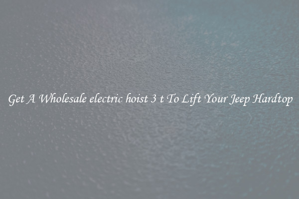 Get A Wholesale electric hoist 3 t To Lift Your Jeep Hardtop