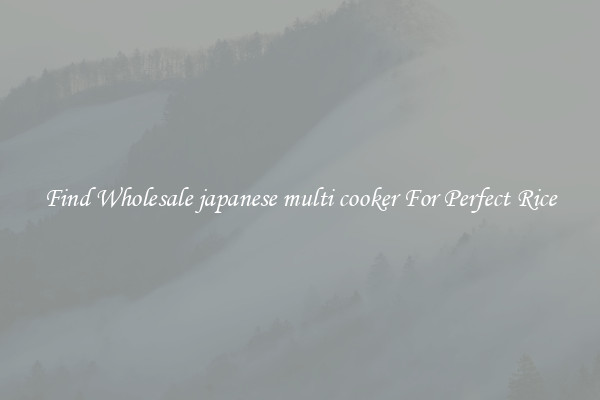 Find Wholesale japanese multi cooker For Perfect Rice