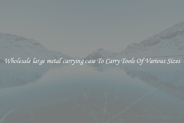 Wholesale large metal carrying case To Carry Tools Of Various Sizes
