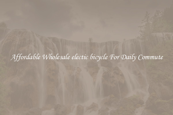 Affordable Wholesale electic bicycle For Daily Commute